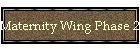 Maternity Wing Phase 2 Progress Report