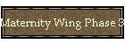 Maternity Wing Phase 3 Progress Report