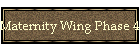 Maternity Wing Phase 4 Progress Report