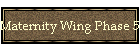 Maternity Wing Phase 5 Progress Report