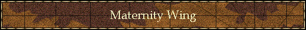 Maternity Wing