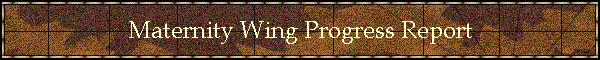 Maternity Wing Progress Report