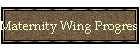 Maternity Wing Progress Report