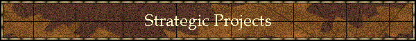 Strategic Projects