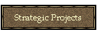 Strategic Projects