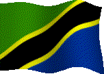 Tanzanian Flag