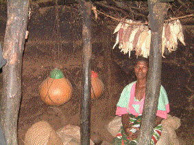 Inside a Gogo Boma