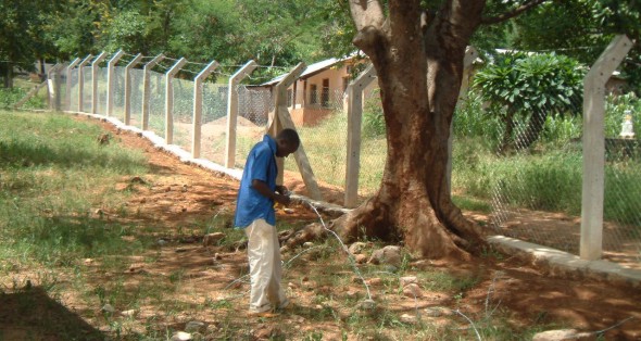 Preparing the barbed wire